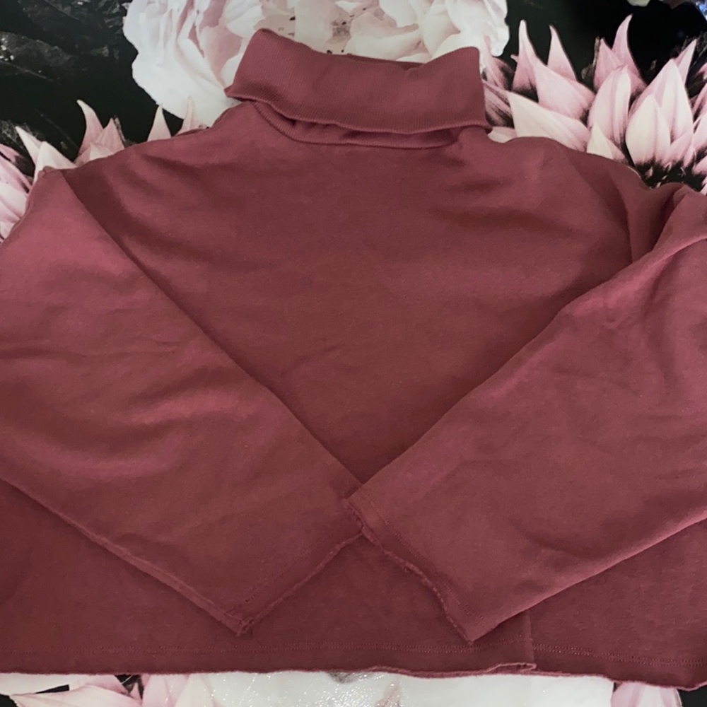 American Eagle Turtle Neck
